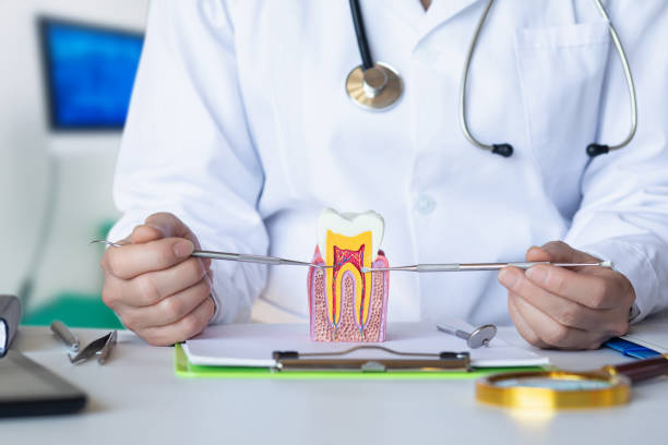 Best Emergency Root Canal Treatment in Lake Of The Woods, VA